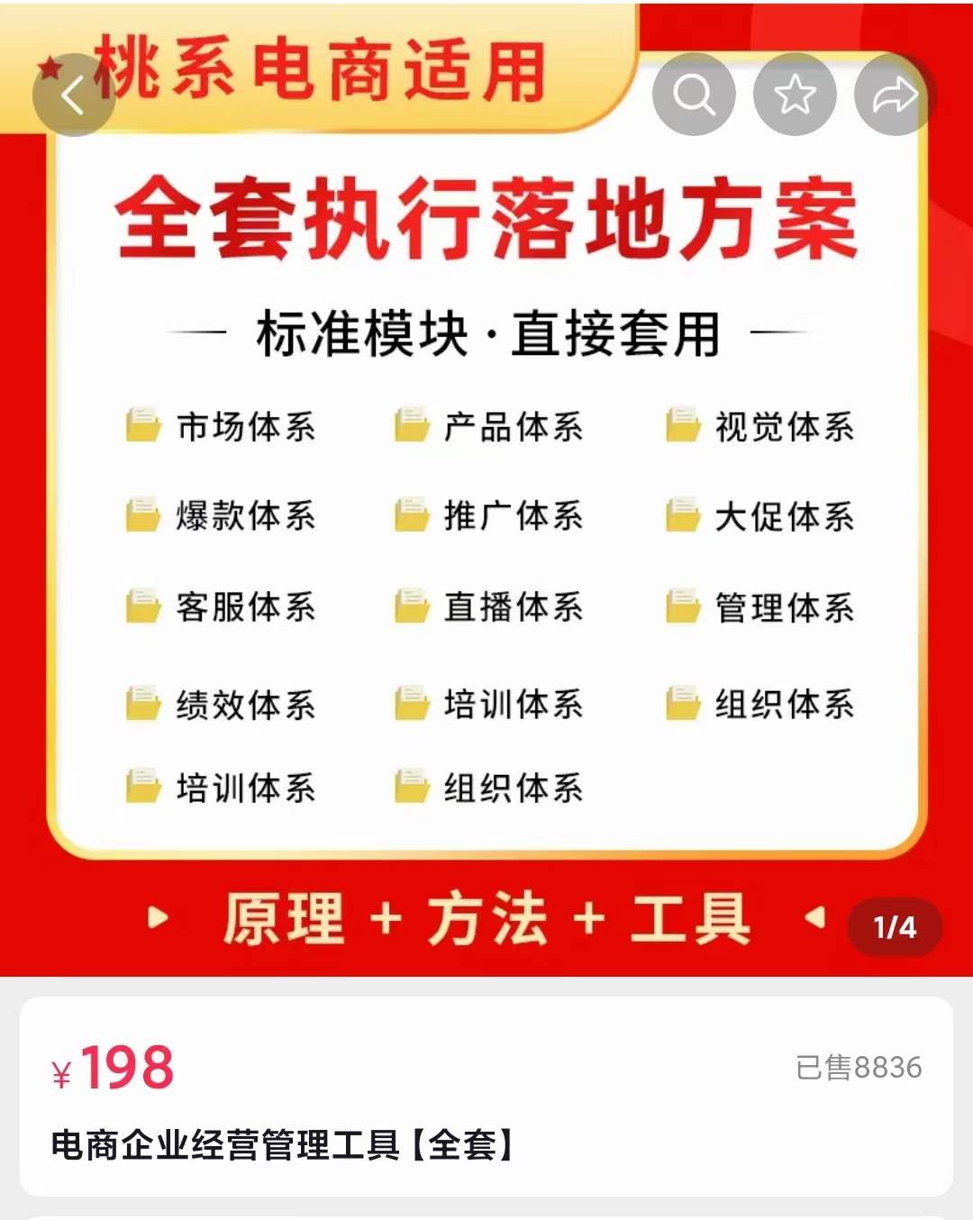 图片[1]-外面卖198·电商企业经营管理工具：全套执行落地方案 标准模块·直接套用-墨痕微课