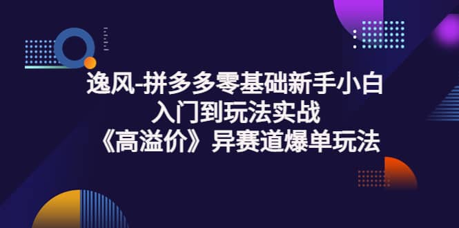 图片[1]-拼多多零基础新手小白入门到玩法实战《高溢价》异赛道爆单玩法实操课-墨痕微课
