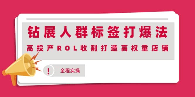 图片[1]-钻展人群标签打爆法，高投产ROL收割打造高权重店铺(全程实操)-墨痕微课
