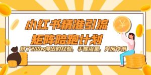 小红书精准引流·矩阵陪跑计划:烧了200w得出的经验,手握流量,兴风作浪!-墨痕微课