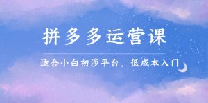 拼多多运营课,适合小白初涉平台,低成本入门-墨痕微课