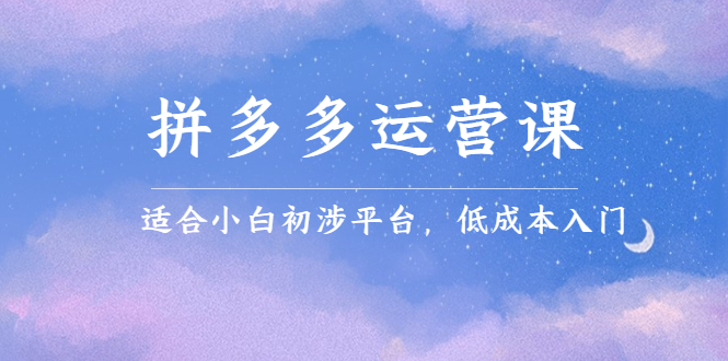拼多多运营课,适合小白初涉平台,低成本入门-墨痕微课