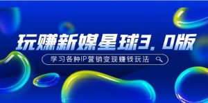 《玩赚新媒星球3.0版》学习各种IP营销变现玩法(价值498)-墨痕微课
