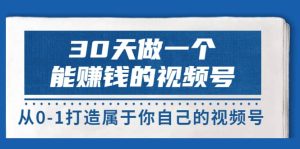 30天做一个能赚钱的视频号,从0-1打造属于你自己的视频号 (14节-价值199)-墨痕微课