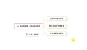 新手如何操作虚拟项目?从0打造月入上万店铺技术【视频课程】-墨痕微课