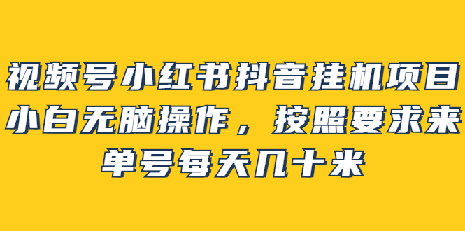视频号小红书抖音挂机项目,小白无脑操作,按照要求来,单号每天几十米-墨痕微课