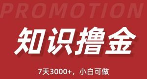 抖音知识撸金项目:执行力强当天见收益(教程 资料)-墨痕微课