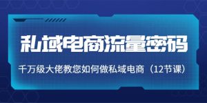 私域电商流量密码:千万级大佬教您如何做私域电商(12节课)-墨痕微课
