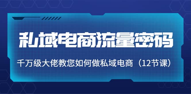 私域电商流量密码:千万级大佬教您如何做私域电商(12节课)-墨痕微课