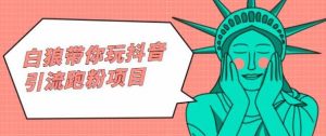 白狼带你玩抖音引流跑粉项目-墨痕微课