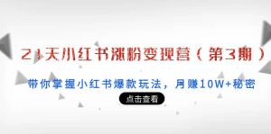 21天小红书涨粉变现营(第3期):带你掌握小红书爆款玩法,月赚10W 秘密-墨痕微课