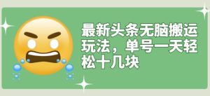 最新头条无脑搬运玩法,单号一天轻松十几块【视频教程 搬运软件】-墨痕微课