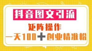 抖音图文引流 矩阵操作 一天100 创业精准粉(5节视频课 素材模板)-墨痕微课