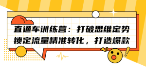 直通车训练营:打破思维定势,锁定流量精准转化,打造爆款-墨痕微课