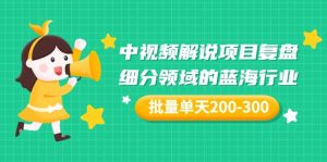 某付费文章:中视频解说项目复盘:细分领域的蓝海行业 批量单天200-300收益-墨痕微课
