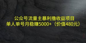 公众号流量主暴利撸收益项目，单人单号月稳赚5000 （价值480元）-墨痕微课