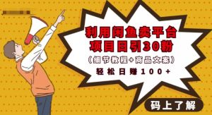 利用闲鱼卖平台项目课程资源日引流30 精准粉丝,轻松日赚100 ,积累人脉可实现二次变现(细节教程 商品文案)-墨痕微课