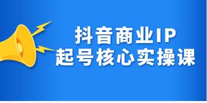 抖音商业IP起号核心实操课,带你玩转算法,流量,内容,架构,变现-墨痕微课