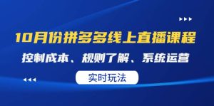 某收费10月份拼多多线上直播课: 控制成本、规则了解、系统运营。实时玩法-墨痕微课