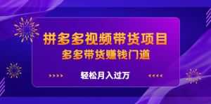 拼多多视频带货项目,多多带货赚钱门道 价值368元-墨痕微课