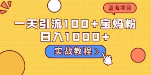 一天引流100 宝妈粉,日入1000 的蓝海项目(实战教程)-墨痕微课