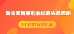 盗坤淘宝蓝海暴利非标品先品思路,7个月37万纯利润,压箱干货分享!【付费文章】-墨痕微课