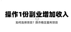 新手如何通过操作副业增加收入,从项目选择到玩法分享!【视频教程】-墨痕微课