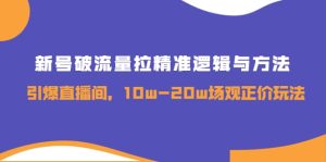 新号破流量拉精准逻辑与方法,引爆直播间,10w-20w场观正价玩法-墨痕微课