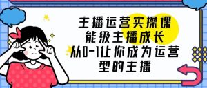 主播运营实操课,能级-主播成长,从0-1让你成为运营型的主播-墨痕微课