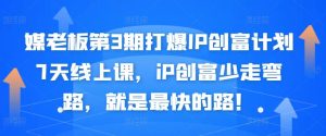媒老板第3期打爆IP创富计划7天线上课,iP创富少走弯路,就是最快的路!-墨痕微课