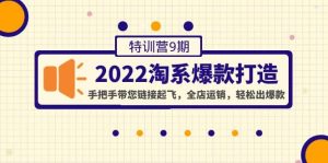 2022淘系爆款打造特训营9期:手把手带您链接起飞,全店运销,轻松出爆款-墨痕微课