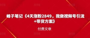 峰子笔记《4天涨粉2849,我做视频号引流 带货方案》付费文章-墨痕微课