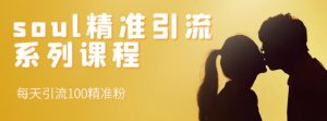 soul精准引流系列课程,每天引流100精准粉-墨痕微课
