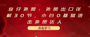 业仔外贸:外贸出口详解30节,小白0基础进击外贸达人 价值666元-墨痕微课