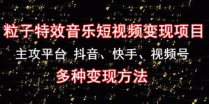 《粒子特效音乐短视频变现项目》主攻平台 抖音、快手、视频号 多种变现方法-墨痕微课