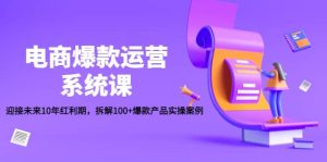 电商爆款运营系统课:迎接未来10年红利期,拆解100 爆款产品实操案例-墨痕微课