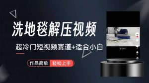 超冷门抖音短视频赛道-清洗地毯解压视频-简单无脑怼作品(教程 素材)-墨痕微课