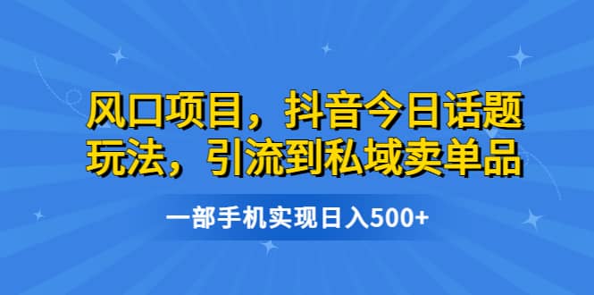 风口项目,抖音今日话题玩法,引流到私域卖单品,一部手机实现日入500-墨痕微课