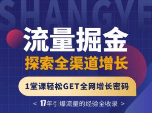 张琦流量掘金探索全渠道增长,1堂课轻松GET全网增长密码-墨痕微课