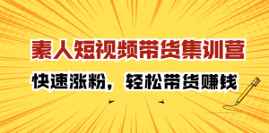 素人短视频带货集训营:快速涨粉,轻松带货赚钱-墨痕微课