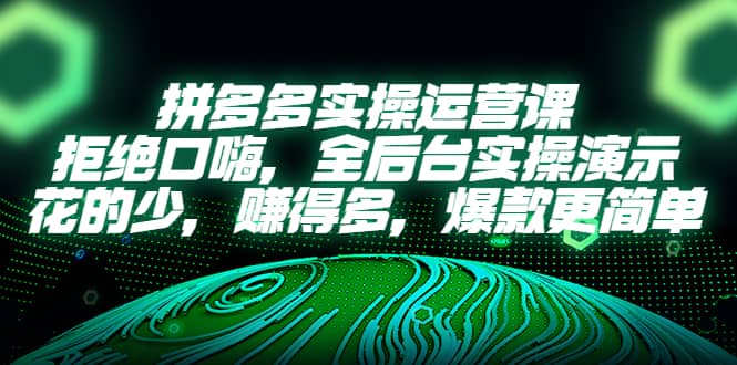 拼多多实操运营课:拒绝口嗨,全后台实操演示,花的少,赚得多,爆款更简单-墨痕微课