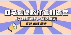 亚马逊爆款打造训练营:5大核心逻辑 案例展示 打造爆款链接 高效 省钱 稳定-墨痕微课