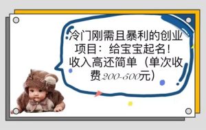 冷门刚需且暴利的创业项目：给宝宝起名！收入高还简单（单次200-500）-墨痕微课