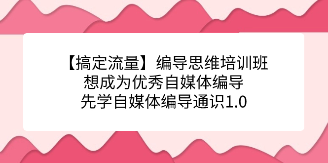 【搞定流量】编导思维培训班,想成为优秀自媒体编导先学自媒体编导通识1.0-墨痕微课