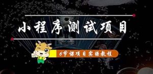 小程序测试项目 从星图 搞笑 网易云 实拍 单品爆破 抖音抖推猫小程序变现-墨痕微课