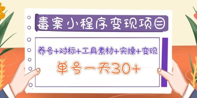 毒案小程序变现项目：养号 对标 工具素材 实操 变现-墨痕微课