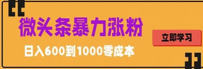 微头条暴力涨粉技巧搬运文案就能涨几万粉丝，简单0成本，日赚600-墨痕微课