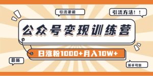 【某公众号变现营第二期】0成本日涨粉1000 让你月赚10W (8月24号更新)-墨痕微课