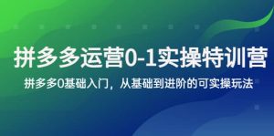 拼多多-运营0-1实操训练营,拼多多0基础入门,从基础到进阶的可实操玩法-墨痕微课
