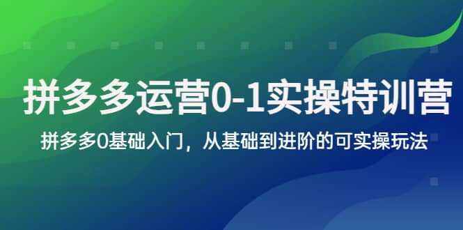 拼多多-运营0-1实操训练营,拼多多0基础入门,从基础到进阶的可实操玩法-墨痕微课